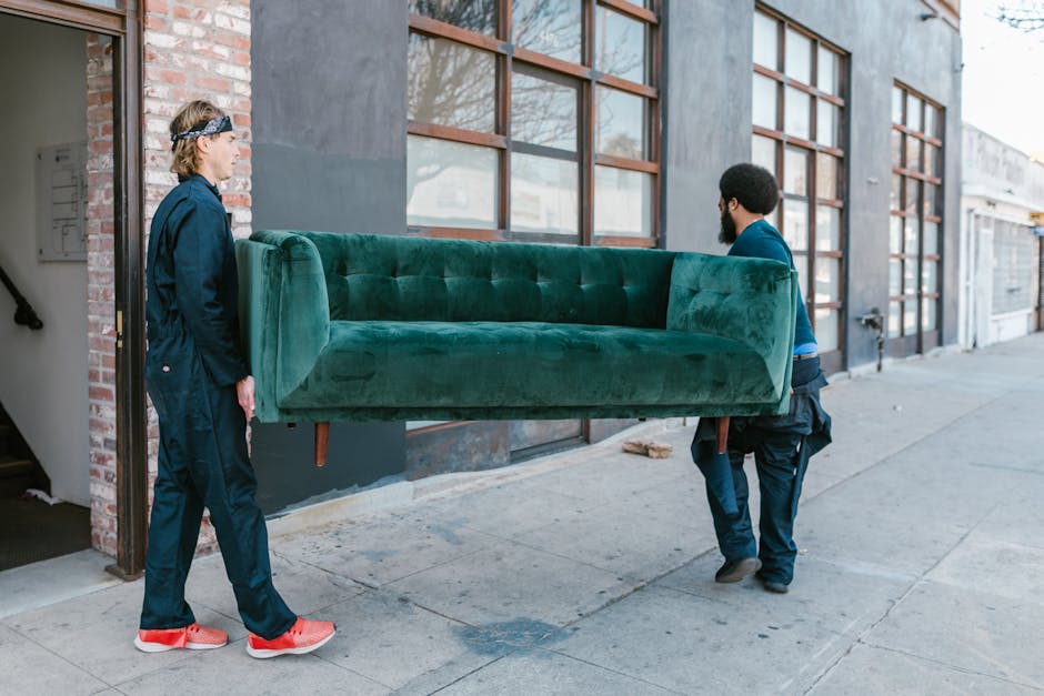 Two movers from Man with Van Pentonville are engaged in a home relocation process outside a commercial building. The mover on the left, wearing a dark uniform and red sneakers, stands on the sidewalk near the open entrance, observing as the other mover, dressed in a similar dark uniform with black shoes, carefully carries a large, green upholstered sofa with wooden legs. The sofa is positioned horizontally, with one person supporting the front and the other holding it from the back, preparing for loading onto a vehicle or moving inside. The background features a row of large windows, a grey exterior wall, and a partially visible alleyway, illustrating the logistics involved in furniture transport and packing during a house or commercial move. This scene emphasizes the physical effort and equipment used in furniture transport typical of professional removals services.